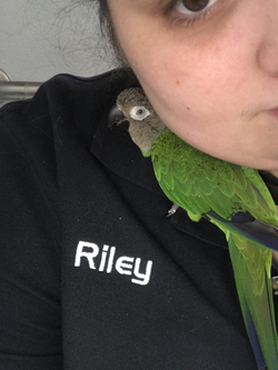 Pet Supply Store «Pet Supplies Plus», reviews and photos, 7041 Barker Cypress Rd, Cypress, TX 77433, USA