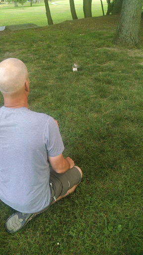 Zoo «Capron Park Zoo», reviews and photos, 201 County St, Attleboro, MA 02703, USA