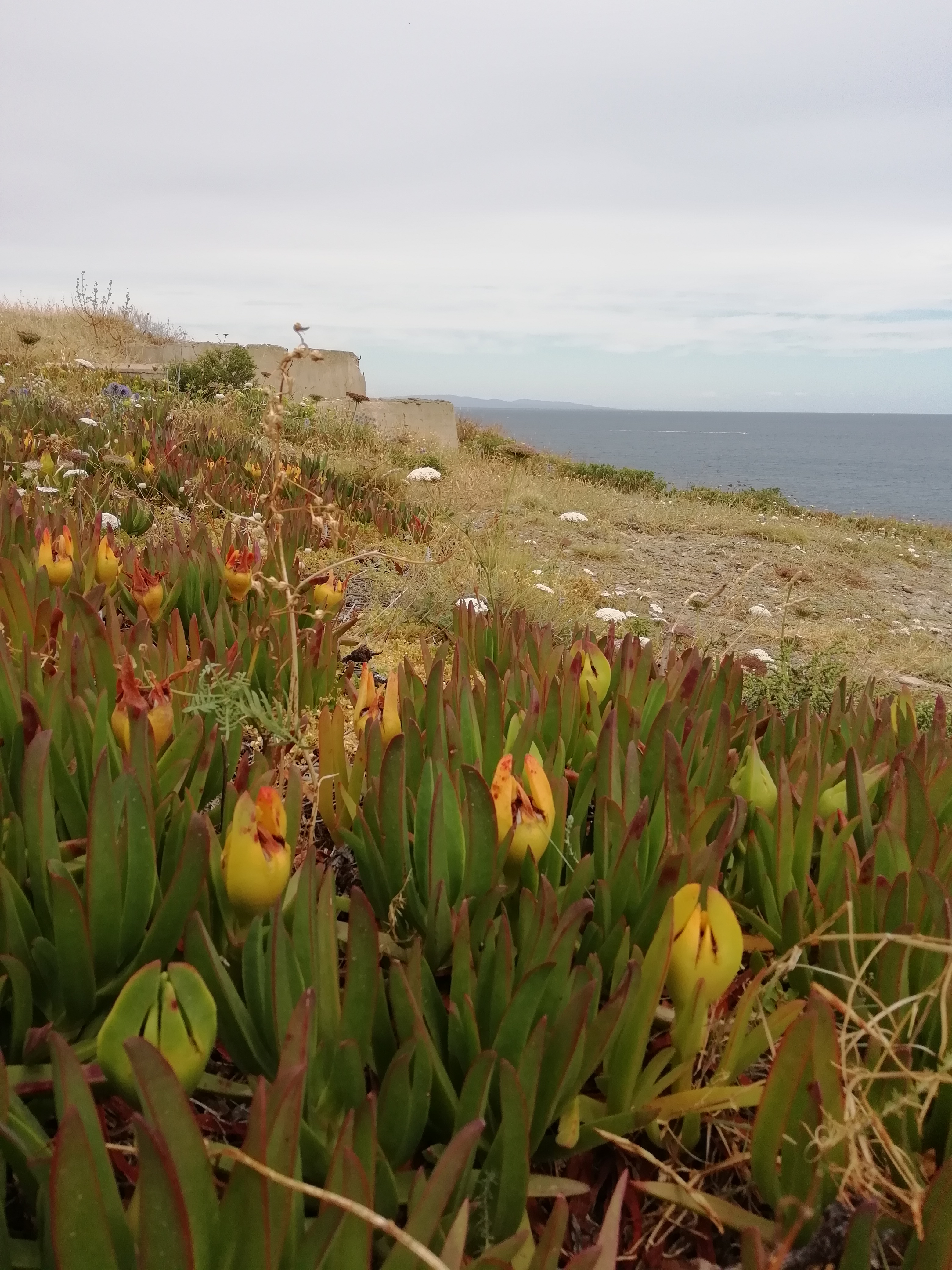 Photo n° 2 de l'avis de Estelle.l fait le 29/08/2018 à 16:38