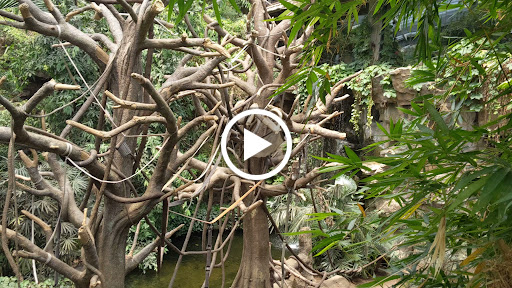 Zoo «Lied Jungle», reviews and photos, 916 D St, Omaha, NE 68107, USA