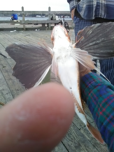 Park «Branford Point», reviews and photos, 4 Harbor St, Branford, CT 06405, USA