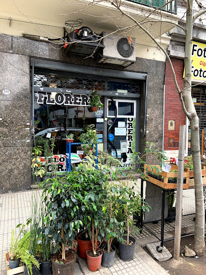 Florería Morabito