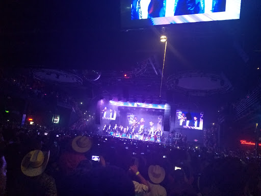 Night Club «Escapade 2001», reviews and photos, 11903 Eastex Fwy, Houston, TX 77039, USA