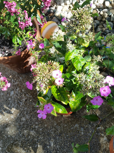 Office Supply Store «OfficeMax», reviews and photos, 17825 S Halsted St, Homewood, IL 60430, USA