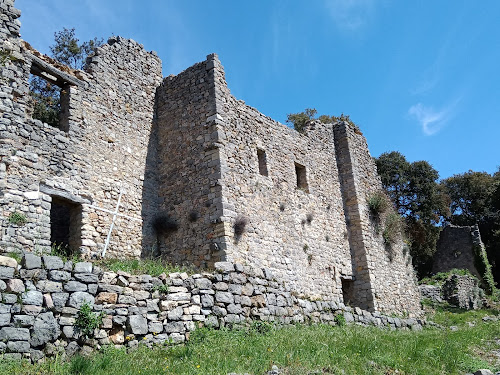 Chateau des Pontevès à Flassans-sur-Issole
