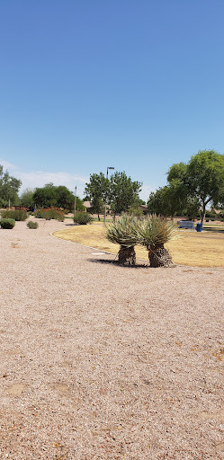 Park «La Paloma Park», reviews and photos, 6579 S Amanda Blvd, Chandler, AZ 85249, USA