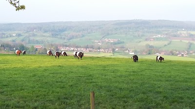 Photos of Kampeerterrein Oosterberg