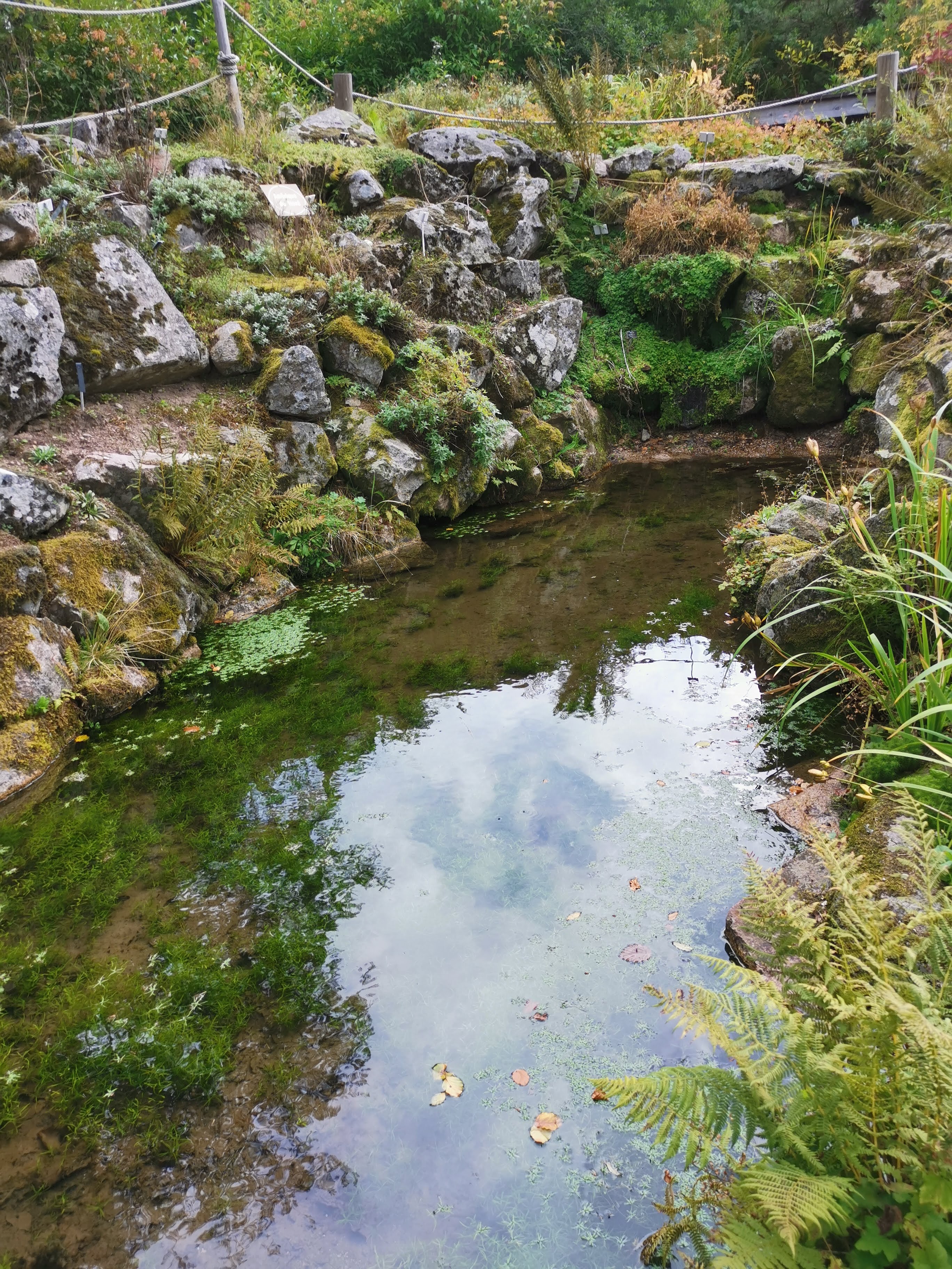 Photo n° 7 de l'avis de Marie.e fait le 03/10/2023 à 06:05