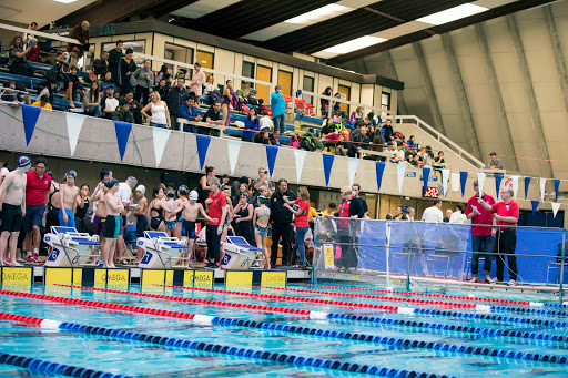 Canadian Dolphin Swim Club