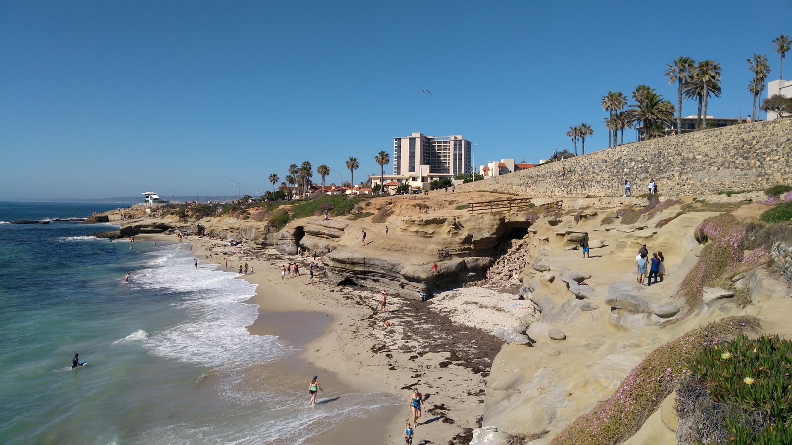 Foto von Wipeout beach umgeben von Bergen