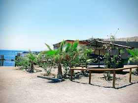 Casa Playa Folkert