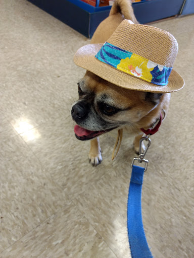 Pet Supply Store «PetSmart», reviews and photos, 263 Midway Blvd, Elyria, OH 44035, USA