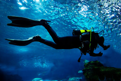 BAYSUB Centro de buceo