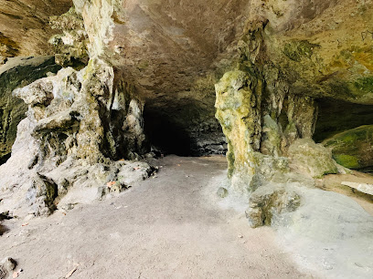 Limestone Caves