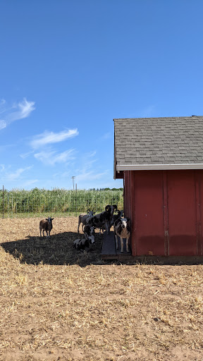 Produce Market «Boones Ferry Berry Farms», reviews and photos, 19602 NE Boones Ferry Rd, Hubbard, OR 97032, USA