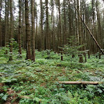 Photo n°2 de l'avis de Claus. fait le 14/07/2020 à 20:56 sur le  Schertelshöhle à Westerheim