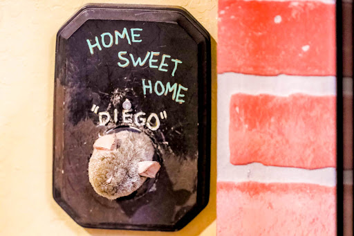 Recreation Center «Escape Zone», reviews and photos, 414 S Mill Ave #112, Tempe, AZ 85281, USA