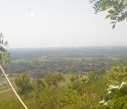 Puncak Garden Park photo