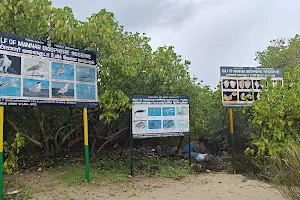 Gulf of Mannar Biosphere Reserve and National Park image