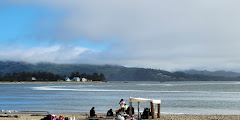 Taft Waterfront Park - Public Beach Access