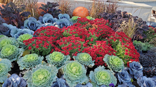 Computer Store «Apple Oakbrook», reviews and photos, 70 Oakbrook Center, Oak Brook, IL 60523, USA