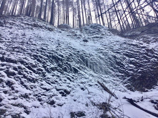 Tourist Attraction «Fairy Falls», reviews and photos, Wahkeena Trail #420, Corbett, OR 97019, USA