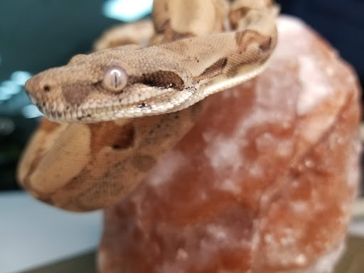 Shopping Mall «Hampton Plaza Shopping Center», reviews and photos, 4033 W Mercury Blvd, Hampton, VA 23666, USA