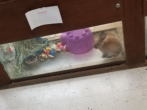 Pet Store «Pet World Warehouse Outlet», reviews and photos, 2148 W Beltline Hwy, Madison, WI 53713, USA