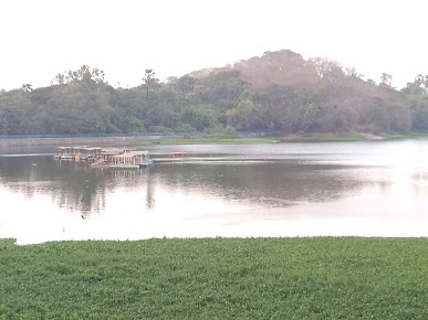 Google Maps image 19