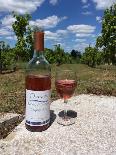 Winery «Oceana Winery & Vineyard», reviews and photos, 4980 S 52nd Ave, New Era, MI 49446, USA