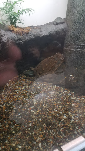 Science Museum «Museum of the Rockies», reviews and photos, 600 W Kagy Blvd, Bozeman, MT 59717, USA