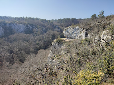 Combe de Fixin à Fixin