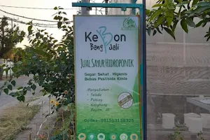 Kebon Bang Jali image