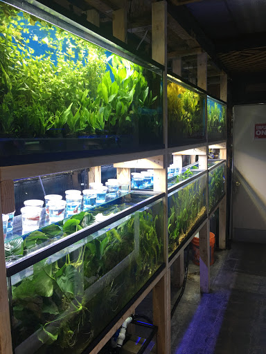 Pet Store «Pet World», reviews and photos, 891 Harriman Pl, San Bernardino, CA 92408, USA