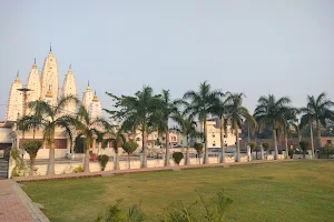 Shri Rani Sati Dadi Temple image