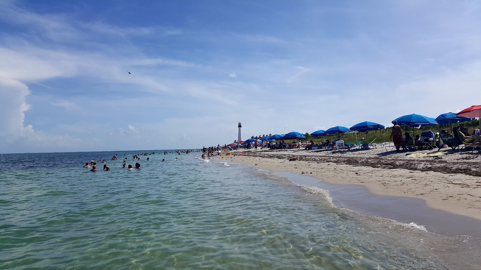 Fotografie cu Cape Florida beach amplasat într-o zonă naturală