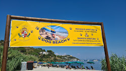 Foto di Spiaggia di Mola con baia spaziosa