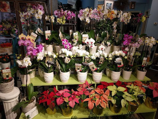 Florist «A Whole Bunch Flower Market», reviews and photos, 326 Cambridge St, Burlington, MA 01803, USA