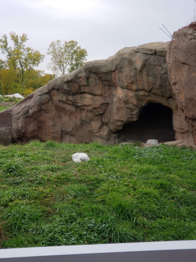 Zoo «Detroit Zoo», reviews and photos, 8450 W 10 Mile Rd, Royal Oak, MI 48067, USA