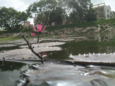 Google Maps image 27