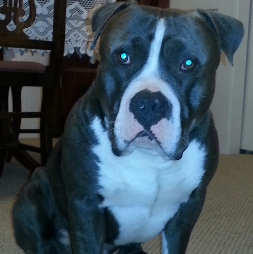 2301 Mission St F, Santa Cruz, CA 95060, USA