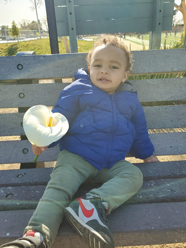 Sports Complex «Milpitas Sports Center», reviews and photos, 1325 E Calaveras Blvd, Milpitas, CA 95035, USA