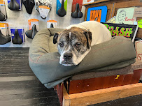 Blazing Saddle Cycle - Photo 3 - Car repair in Cleveland, OH, Cleveland