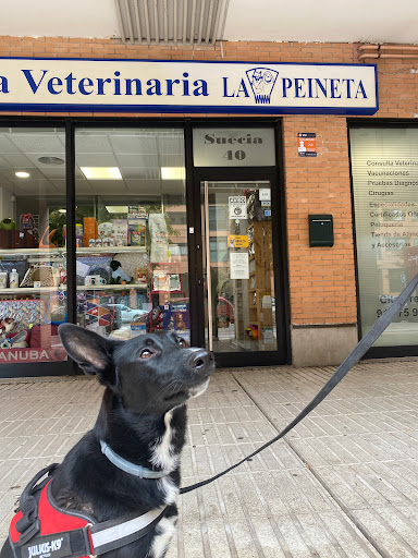 Clínica Veterinaria La Peineta en Madrid