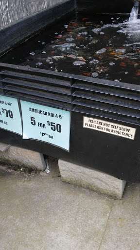 Pet Supply Store «Concord Feed Pet & Livestock Supplies», reviews and photos, 228 Hookston Rd, Pleasant Hill, CA 94523, USA