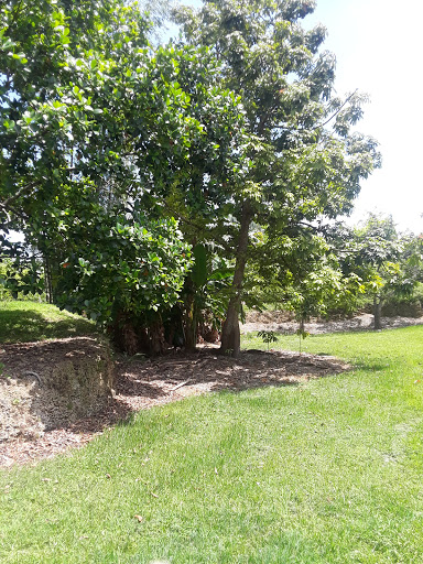 Country Club «Redland Golf & Country Club», reviews and photos, 24451 SW 177th Ave, Homestead, FL 33031, USA