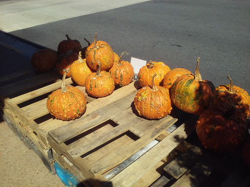 Grocery Store «Whole Foods Market», reviews and photos, 1450 Taylor Rd, Montgomery, AL 36117, USA