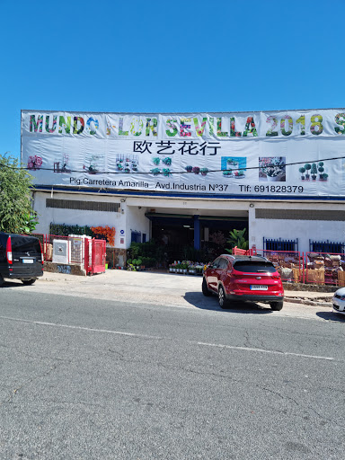 Mundo Flor Sevilla 2018, S.L