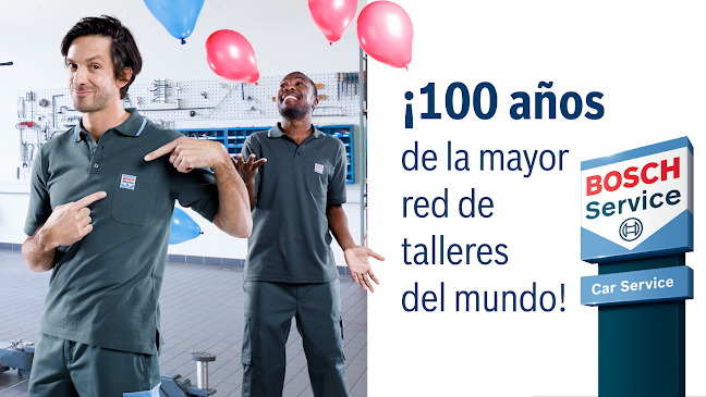 Bosch Car Service - Quelle Servicio Automotriz