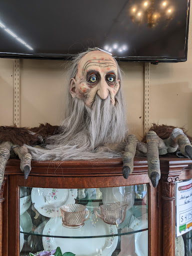 Thrift Store «Four Seasons Hospice Home Store», reviews and photos